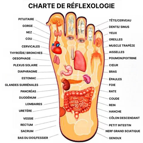 Kifaya - Pantoufles Réflexologie Plantaire