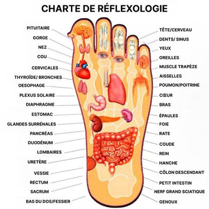 Kifaya - Pantoufles Réflexologie Plantaire